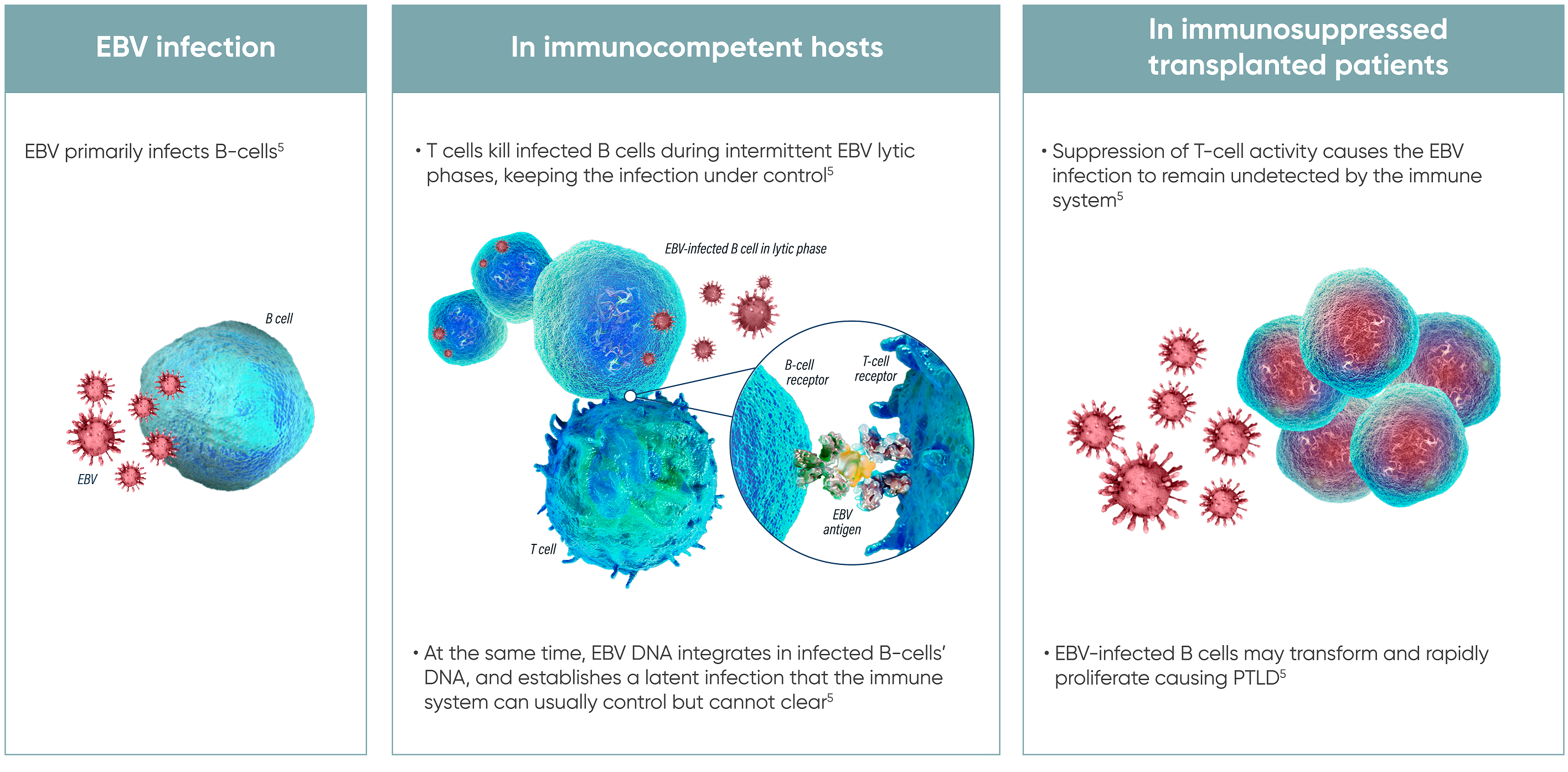 EBV disease